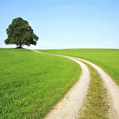 乐发lv最新版本下载