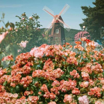 乐鱼官网下载手机版