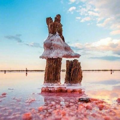 安博体育·(中国)官方网站