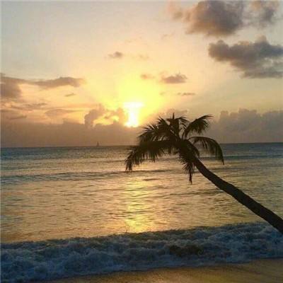 pg游戏官方网站